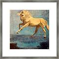 Free As The Wind Framed Print