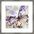 Free Butterfly Framed Print