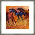 Free Range - Wild Horses Framed Print