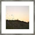 Freedom Framed Print