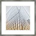 Freedom Tower Framed Print