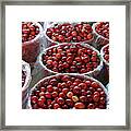Fresh Cranberries Framed Print