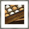 Fresh Eggs Framed Print