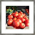 Fresh Tomatoes At Farmers Market Framed Print