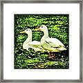 Friends For Life - Acrylic Painting Framed Print