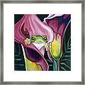 Frog In Pink Calla Lily Framed Print