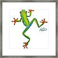 Red Eyed Tree Frog By Jan Marvin Framed Print