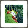 Frog On The Look Out Framed Print