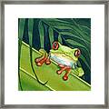 Frog Peek Framed Print