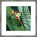 Frog Ready To Leap Framed Print