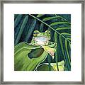 Frog The Pose Framed Print