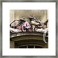 Frogs Sculpture Framed Print