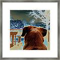 From Her Perspective Framed Print