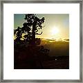 Front Row Seat Framed Print