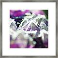 Frosted Crystal Amethyst Framed Print