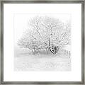 Frosted Framed Print