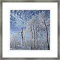 Frosted Hilltop Quakies Framed Print