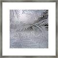 Frosted Pane Framed Print