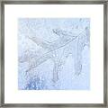 Frozen Oak Leaf Imprint Framed Print