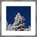 Frozen Tranquility Ute Pass Cos Co Framed Print