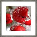 Frozen Winter Berries Framed Print