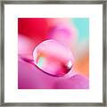 Fuchsia Drop Framed Print