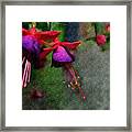 Fuchsia's Beating As One Together -silk Edit Framed Print