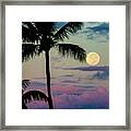 Full Moon And Palm Trees Framed Print