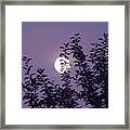 Full Moon Framed Print