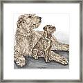 Full Of Promise - Irish Wolfhound Dog Print Color Tinted Framed Print