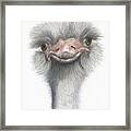 Funny Face Framed Print