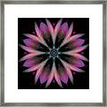 Galactic Boutonniere Framed Print