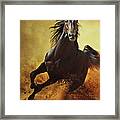 Galloping Horse At Sunset In Dust Framed Print