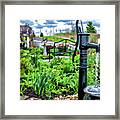 Garden At Pumpkin Hill Framed Print