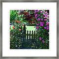 Garden Bench And Trellis Framed Print