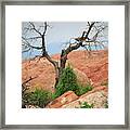 Garden Of The Gods Framed Print