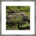 Garden Pond - D001133 Framed Print