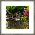 Garden Pond Framed Print