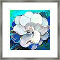 Gardenia Teal 1 Framed Print