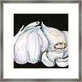 Garlic 1 Framed Print