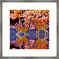 Gay Pride Bucks Framed Print