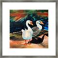 Geese At Riverside Framed Print