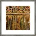 Geese In Autumn Framed Print