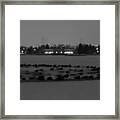Geese In Frozen Lake Framed Print