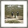 Geese Platt River Deckers Co Framed Print