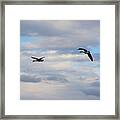 Geese In The Clouds Framed Print