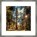 General Sherman Framed Print