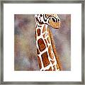 Gentle Giraffe Framed Print