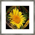 Geometric Sunflower Framed Print
