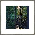 George Eldridge Trail In Wenonah Nj Framed Print